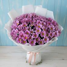 Букет цветов из:  Хризантемы в Хасавюрте