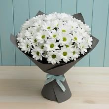 Букет цветов из:  Хризантемы #REPLACE_PRED# Хасавюрте