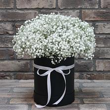 Цветочная композиция из Гипсофила в шляпной коробке в Хасавюрте